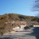 효정농장(2) 이미지