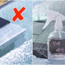 준 자동차 이미지