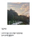 소나무언덕 이미지