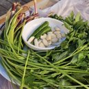 원동농장 | 🥓 [실전꿀팁] "모르면 손해!" 원동 미나리 삼겹살 완벽 가이드 : 준비물부터 추천 농장까지 🥗✨