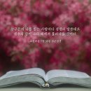 [CTS 말씀이미지] 요한복음 7장 38절 #말씀이미지 #감경철 #CTS #핸드폰배경화면 이미지