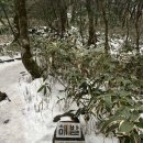 수송게스트하우스 | 겨울 산행 한라산 등반 후기 한라산 등반 코스 완벽 정리: 🏔️ 관음사 출발 성판악 도착, 준비물 꿀팁! ❄️