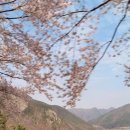 만금사