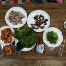 두모악게스트하우스 민박 | 2015 봄휴가 제주도 (11) 에어비앤비 Airbnb로 예약한 애월읍 숙소 요나고래