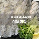 회락 - 성남시 분당구 구미로9번길 25 | 수유역 맛집 어부회락 후기 회 좋아한다면 만족할 만한 곳