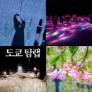 헤르만의정원in강릉 | 팀랩 플래닛 도쿄 놀거리 추천 티켓 할인 오다이바 도쿄 여행 가볼만한곳