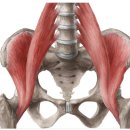 늘필라테스 이미지