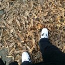 안경마을안경원 이미지