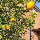 사우스사계 이미지