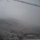 은지가든 이미지