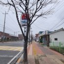 동백코스(서천-군산) 이미지