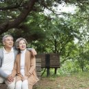 은은하게 이미지