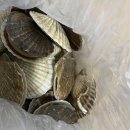 5호화장실(수선화화장실) | [태안여행] 수선화펜션 &amp; 몽산포어촌계수산물판매장