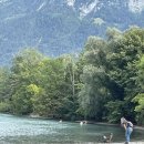 [워너고트립] 스위스(2) 🇨🇭 툰호수, 브리엔츠 호수, 패러글라이딩, 카를교, 야경, 호스텔, 숙소 후기