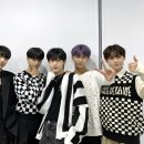 디케이지 카카오 검색결과