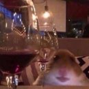 아이스컴퍼니 이미지