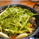도도칼국수 네이버블로그