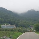 이수미팜베리 이미지