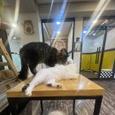 웃개살롱 | 연말결산