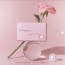 오렌즈운정점 이미지