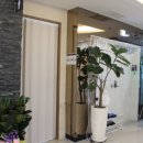 에스제이의원 이미지