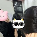 고쳐줄개 | 꿈틀대는 날개부터 다친 맘을 고쳐낼 거야