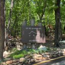 휴트리 | 5월 수락휴 트리하우스 15호실 숙박 후기 (예약방법, 산책로, 보물찾기 이벤트)