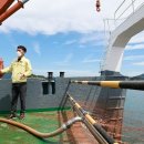 완도11호 이미지