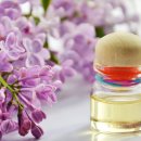 엠브이피힐링랜드 이미지