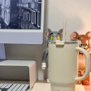 미노리 | 밤켈 미노리트레 대용량 빨대 텀블러 직접 사용 후기