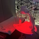 수원-1403 이미지