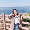 제주써니 이미지