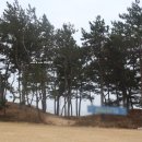 씨앤리조트 이미지