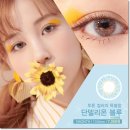 단델리온 이미지