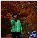 고모 이미지
