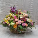 구지연합내과의원 이미지