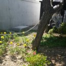 파랑새민박 이미지