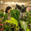 그린유치원 이미지