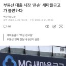부동산 <b>대출</b> <b>시장</b> '큰손' 새마을금고가 불안하다