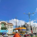 한수 소프트 | 달랏 쇼핑 리스트 마트 고달랏 푸꾸옥 후추 커피 꿀 새우라면 간장 벨큐브 치즈 틱택캔디 베트남 달랏...