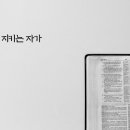 새일과새시대