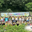 정님유치원 Daum카페