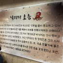 419 산방착한낙지 이미지