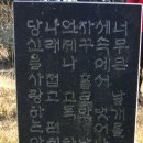 해숙농장 Daum카페