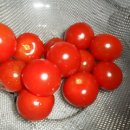 환상참치 이미지