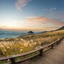 산청 - 순천시 율촌로 159 | 산청