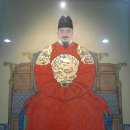 뿌리깊은나무 이미지