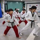 고려용호태권도 이미지