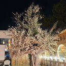 해뜨는빌리지 이미지