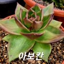 아보 - 마포구 양화로 78-9 | 아보